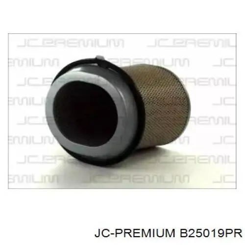 Воздушный фильтр B25019PR JC Premium