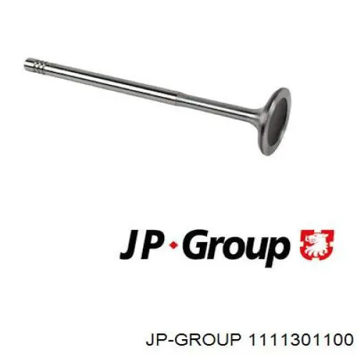 Клапан впускной JP Group 1111301100