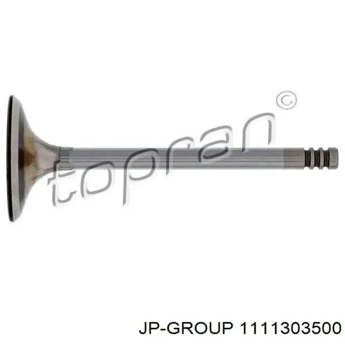 Клапан впускной JP Group 1111303500