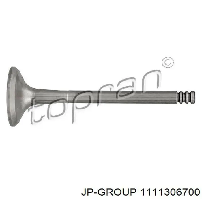 Выпускной клапан двигателя JP Group 1111306700 цена, от 4.82 USD