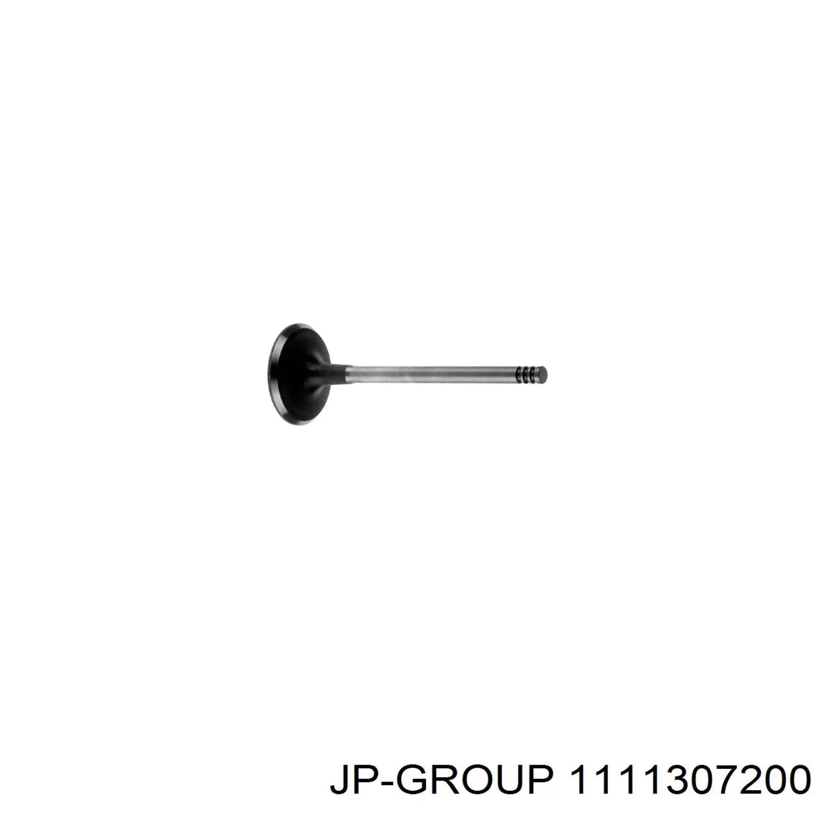 Клапан выпускной JP Group 1111307200