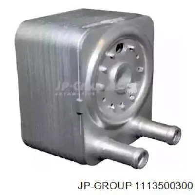 1113500300 JP Group