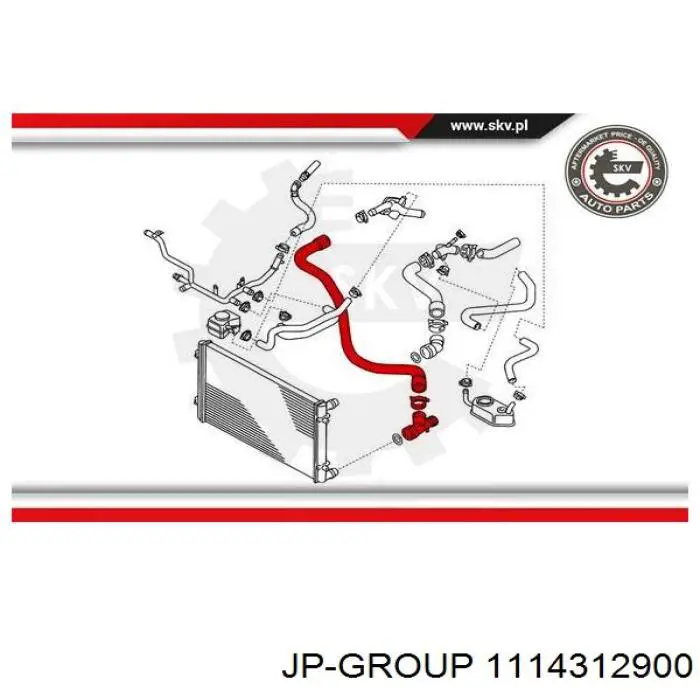 Шланг радиатора, нижний JP Group 1114312900 цена, от 19.34 USD