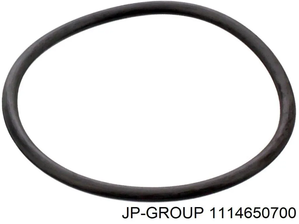 Купить 1114650700 JP Group Прокладка термостата