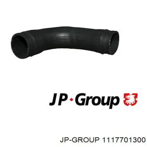 1117701300 JP Group шланг (патрубок интеркуллера нижний)