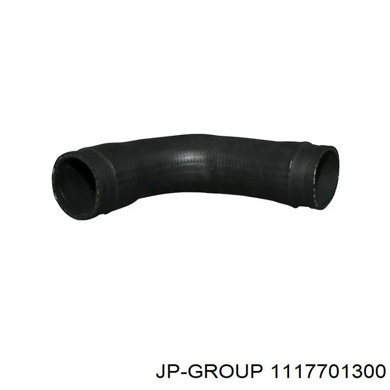 1117701300 JP Group