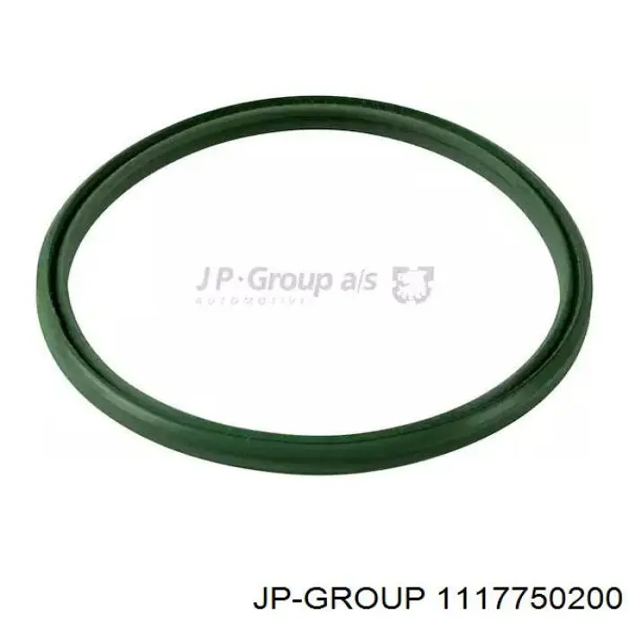 1117750200 JP Group прокладка (кольцо шланга охлаждения турбины, обратки)