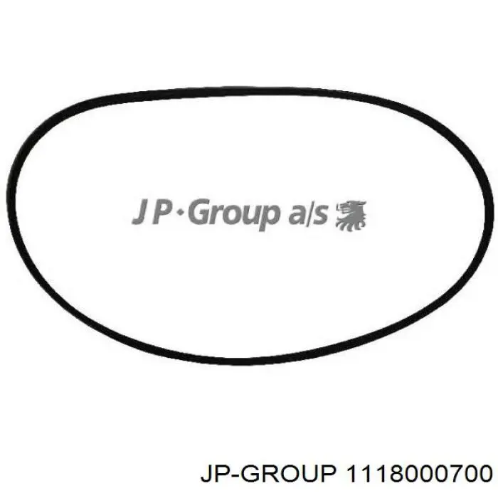 1118000700 JP Group ремень генератора