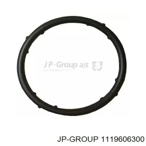 1119606300 JP Group