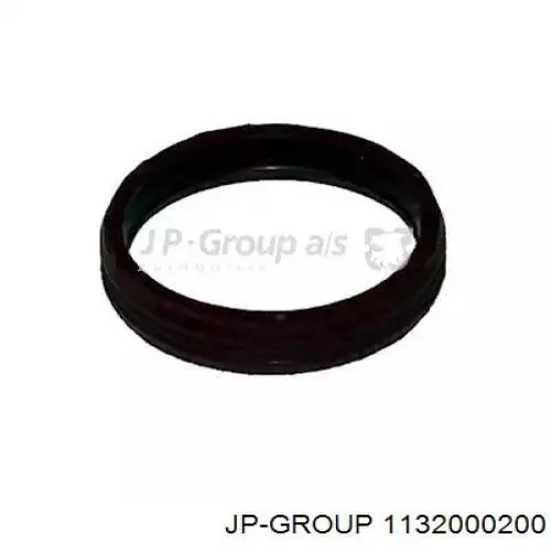 1132000200 JP Group кольцо уплотнительное фильтра акпп