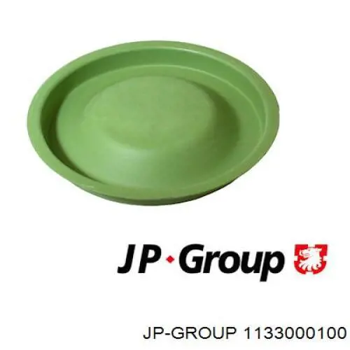 1133000100 JP Group