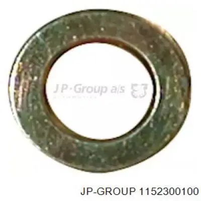 1152300100 JP Group