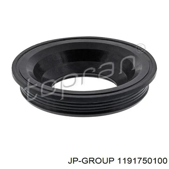 Junta anular, cavidad bujía 1191750100 JP Group