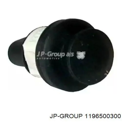 1196500300 JP Group