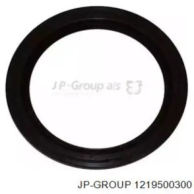 1219500300 JP Group