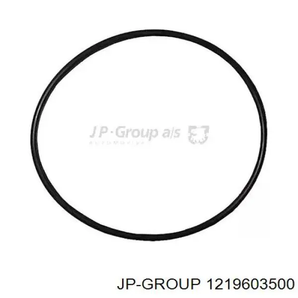 Прокладка водяной помпы JP Group 1219603500