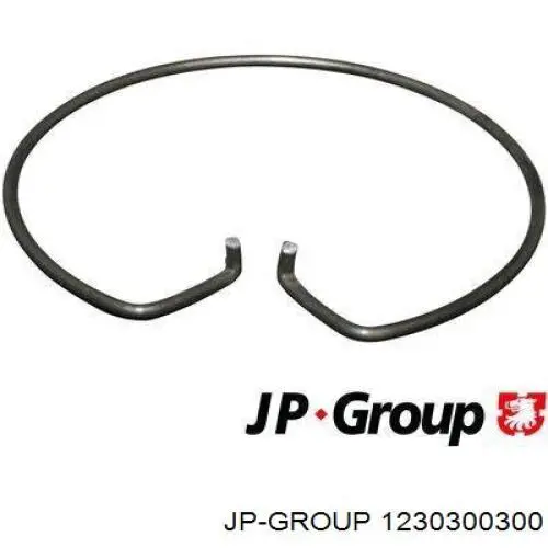 1230300300 JP Group Подшипник выжимной сцепления