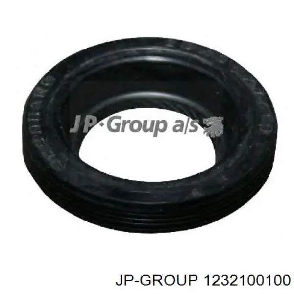 1232100100 JP Group