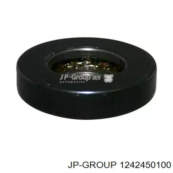 1242450100 JP Group