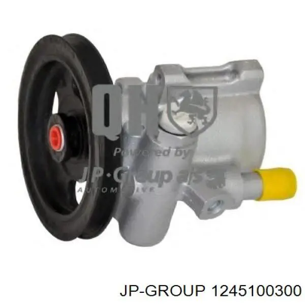 1245100300 JP Group
