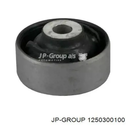 1250300100 JP Group