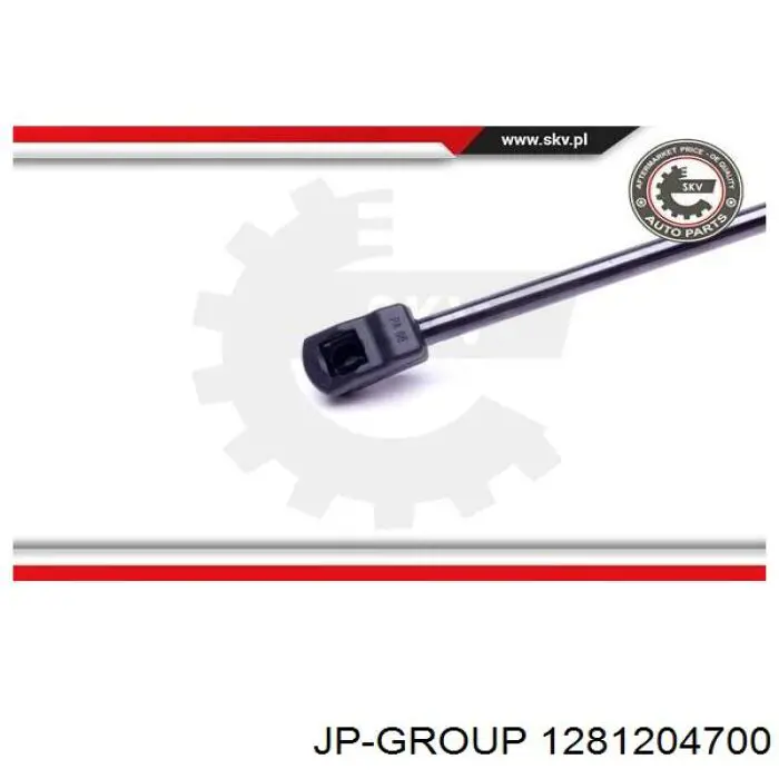 1281204700 JP Group