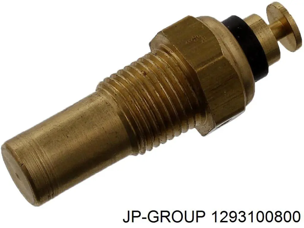 Sensor temperatura 1293100800 JP Group