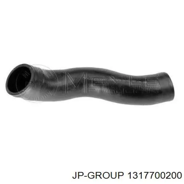 1317700200 JP Group mangueira (cano derivado direita de intercooler)