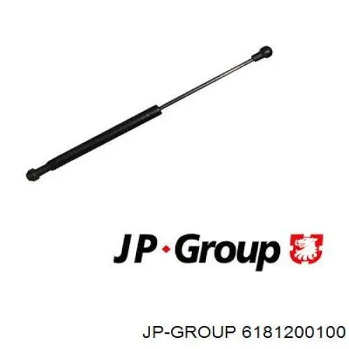 6181200100 JP Group