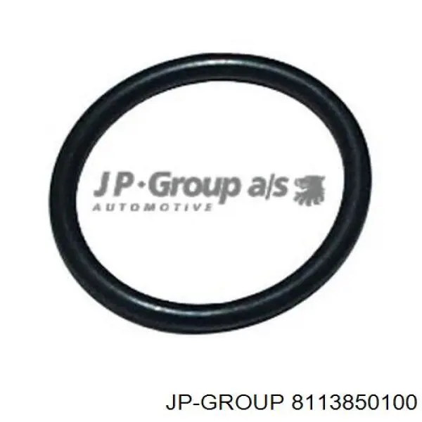 8113850100 JP Group