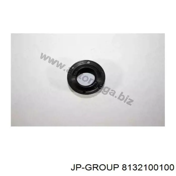 8132100100 JP Group