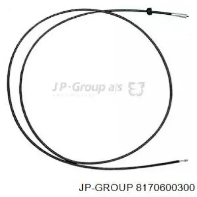 Трос привода спидометра JP Group 8170600300