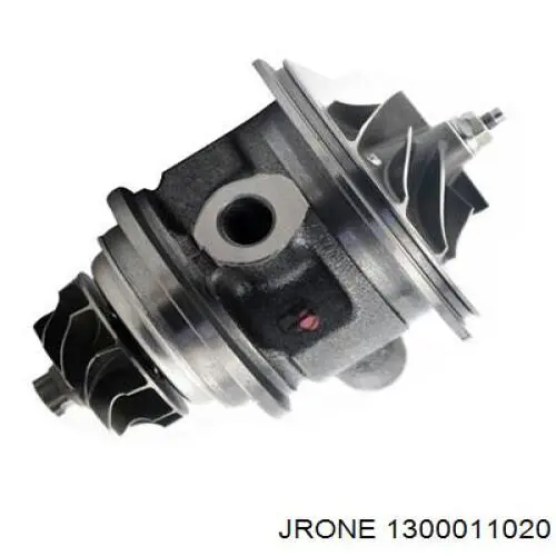 1300011020 Jrone 