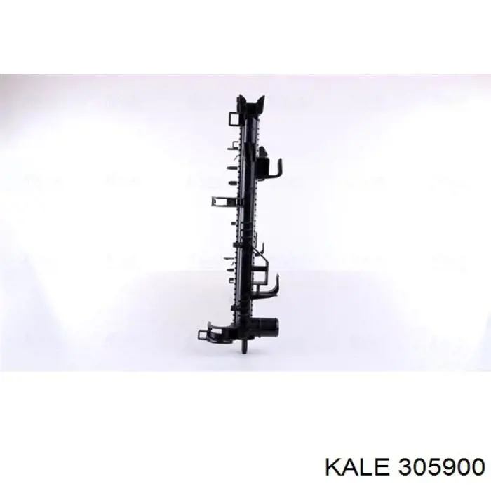 305900 Kale