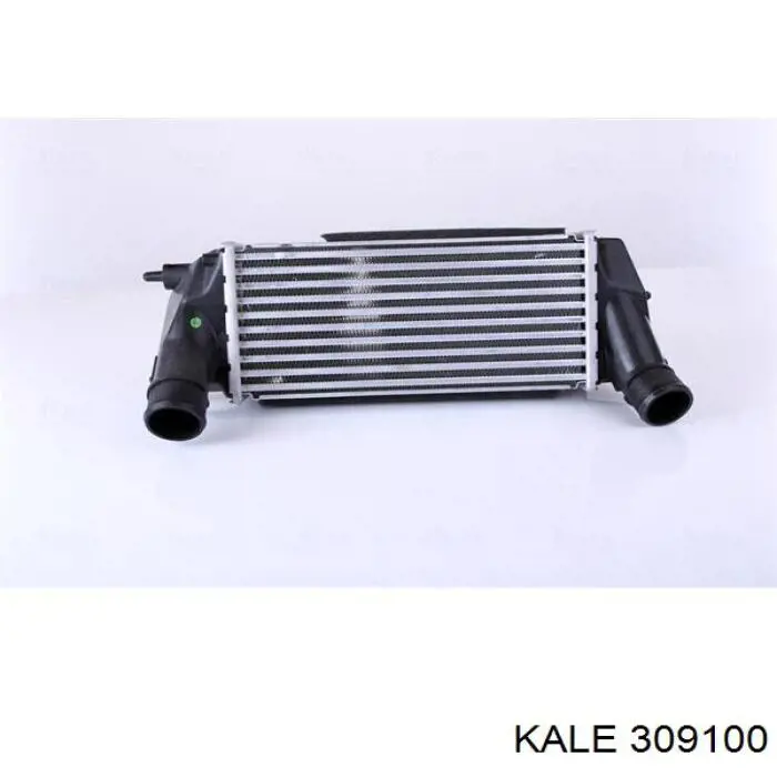 309100 Kale