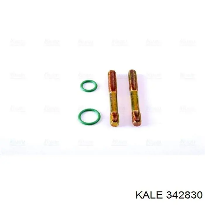 342830 Kale Конденсатор