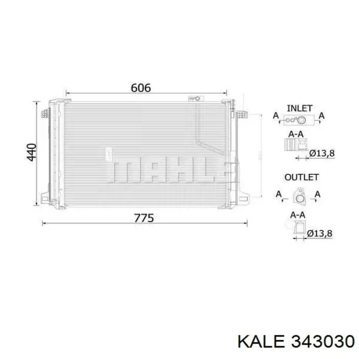 343030 Kale