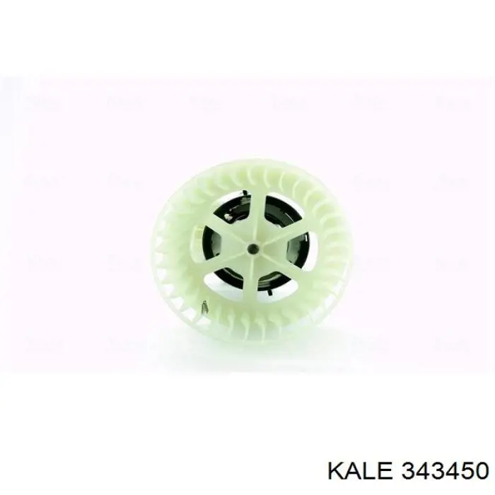 343450 Kale