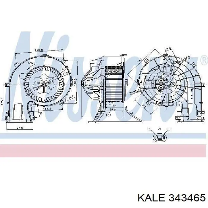 343465 Kale