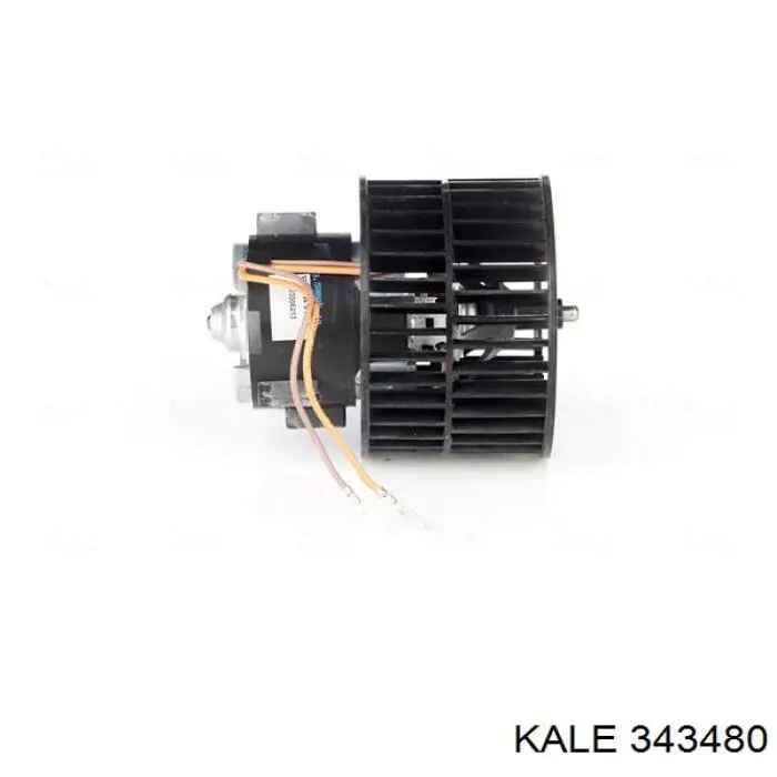 343480 Kale