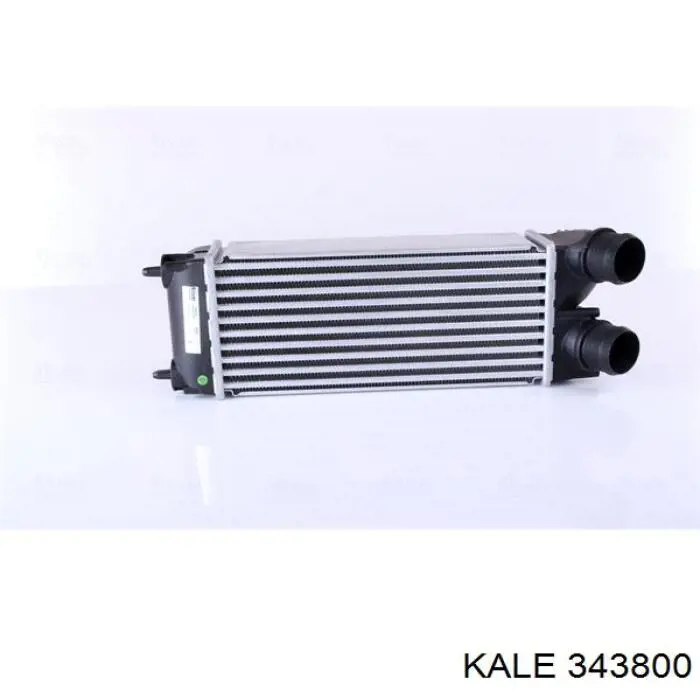 343800 Kale