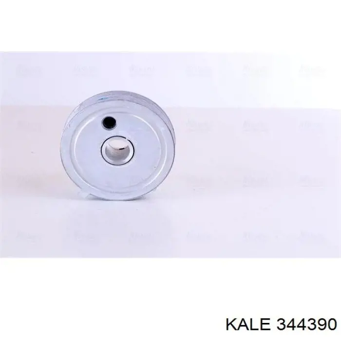 344390 Kale