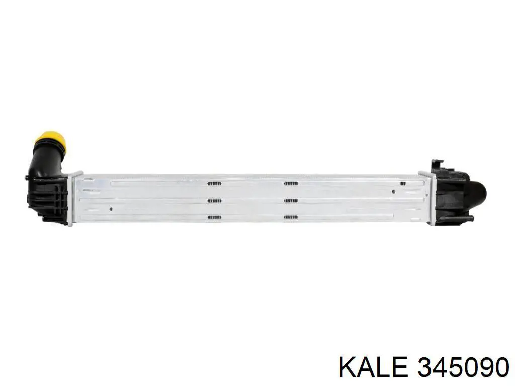 345090 Kale