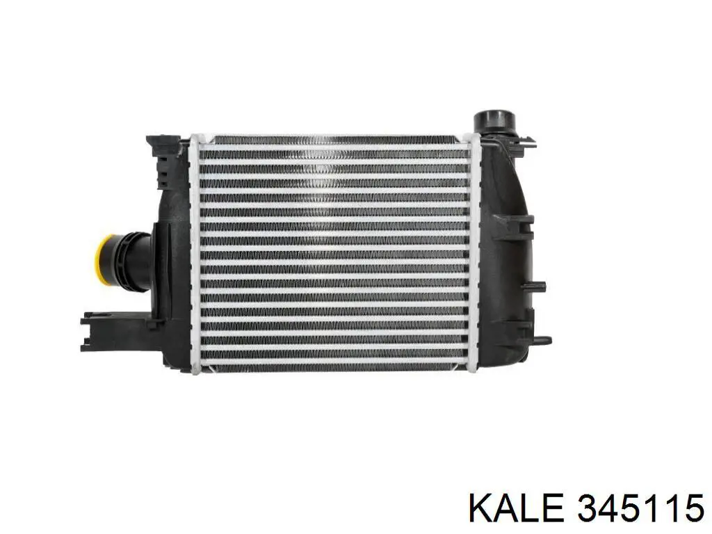 345115 Kale