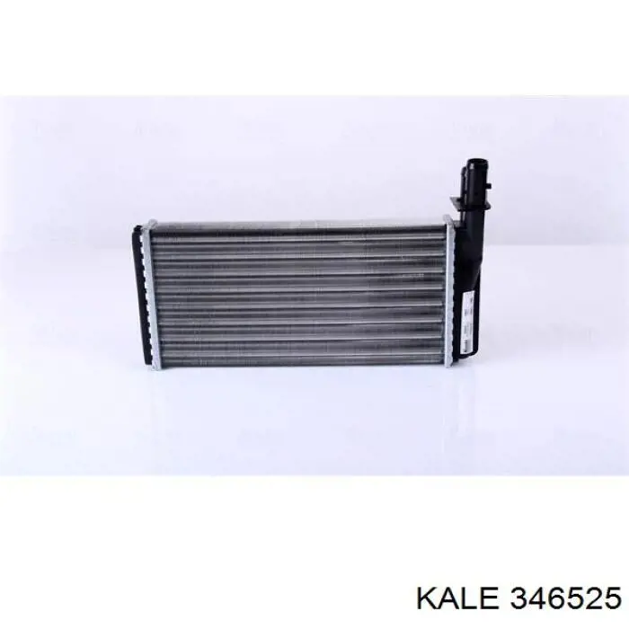 346525 Kale