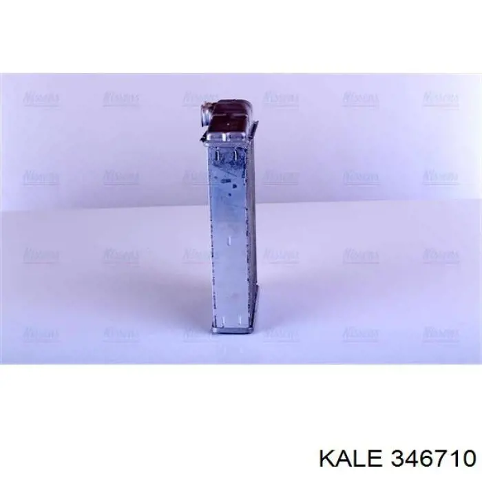 346710 Kale