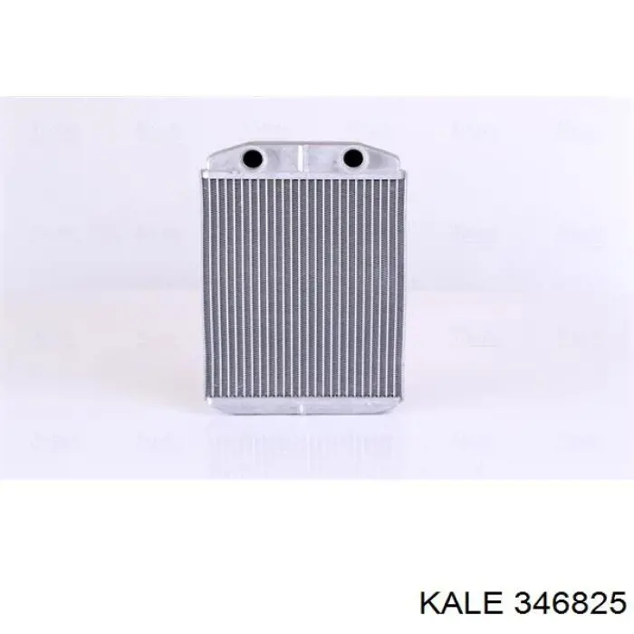 346825 Kale