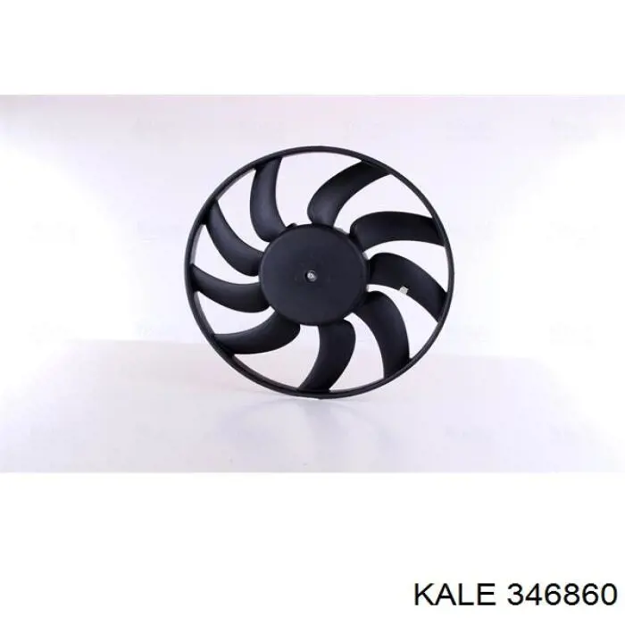 346860 Kale