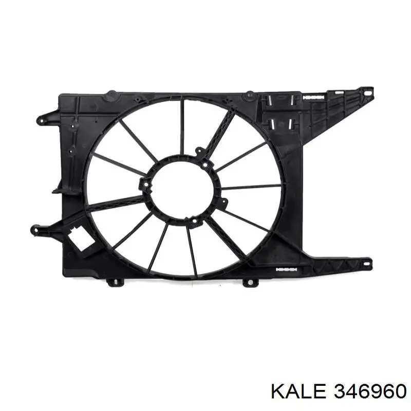  346960 Kale