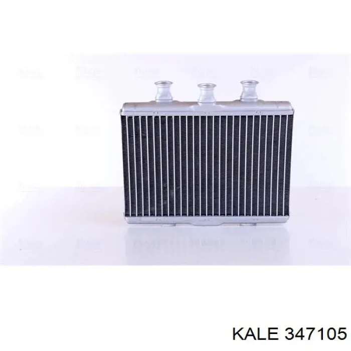 347105 Kale